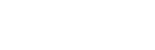logo_ws